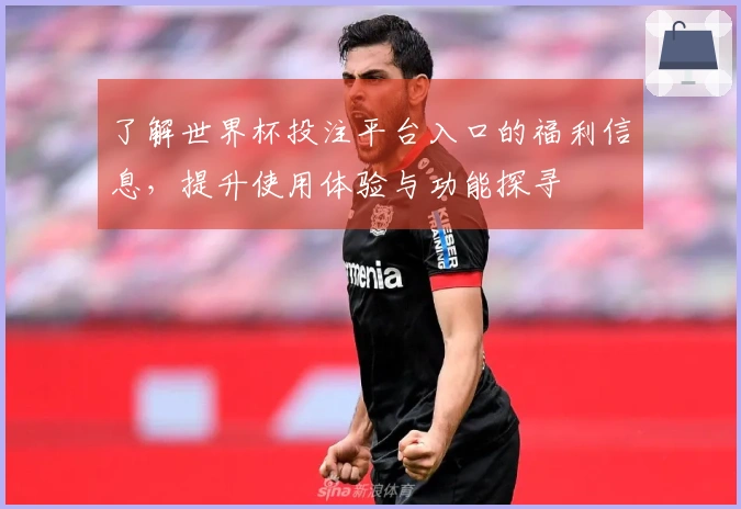 了解世界杯投注平台入口的福利信息，提升使用体验与功能探寻
