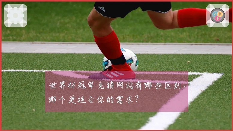 世界杯冠军竞猜网站有哪些区别，哪个更适合你的需求？