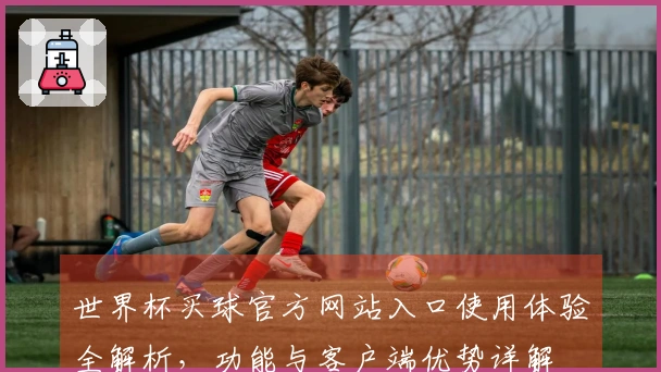 世界杯买球官方网站入口使用体验全解析，功能与客户端优势详解