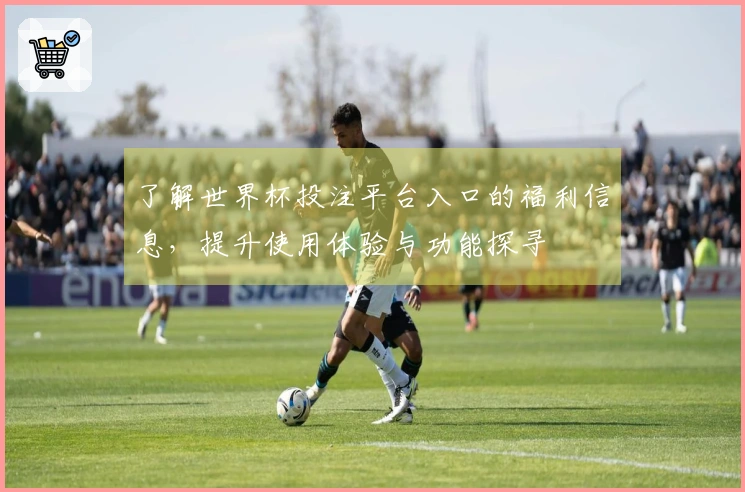 了解世界杯投注平台入口的福利信息，提升使用体验与功能探寻