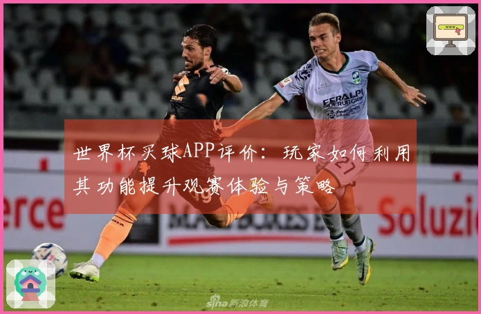 世界杯买球APP评价：玩家如何利用其功能提升观赛体验与策略
