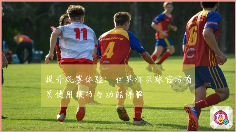 提升观赛体验：世界杯买球官方首页使用技巧与功能详解