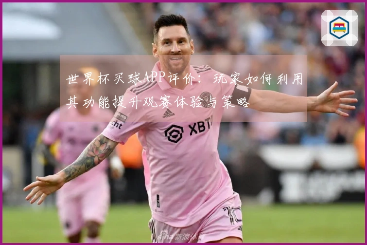 世界杯买球APP评价：玩家如何利用其功能提升观赛体验与策略