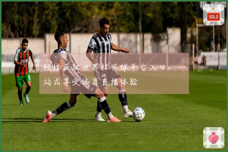 轻松获取世界杯买球平台入口，一站式享受体育直播体验