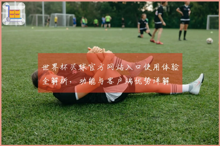 世界杯买球官方网站入口使用体验全解析，功能与客户端优势详解
